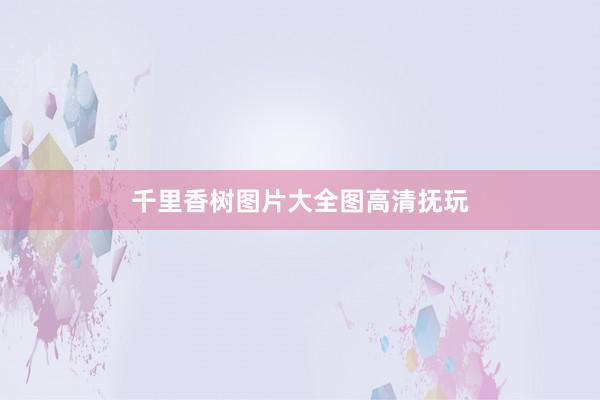 千里香树图片大全图高清抚玩