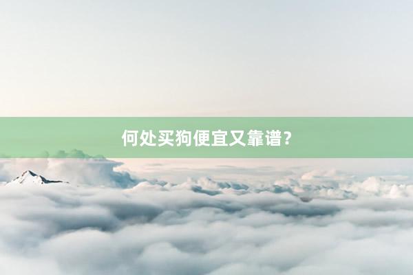 何处买狗便宜又靠谱？